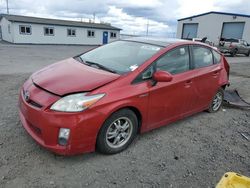 Toyota Prius salvage cars for sale: 2010 Toyota Prius