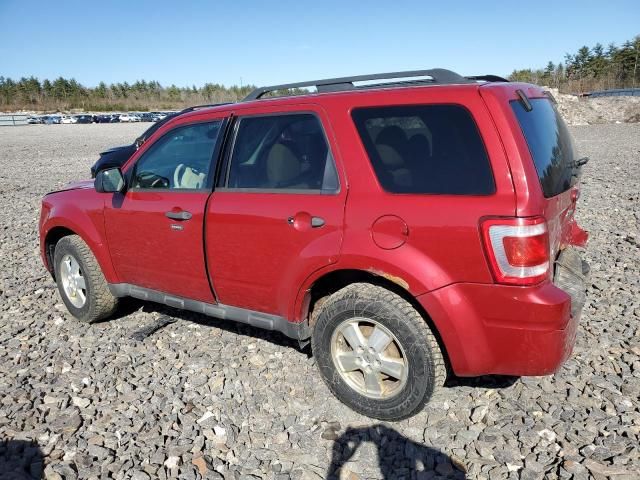 2011 Ford Escape XLT