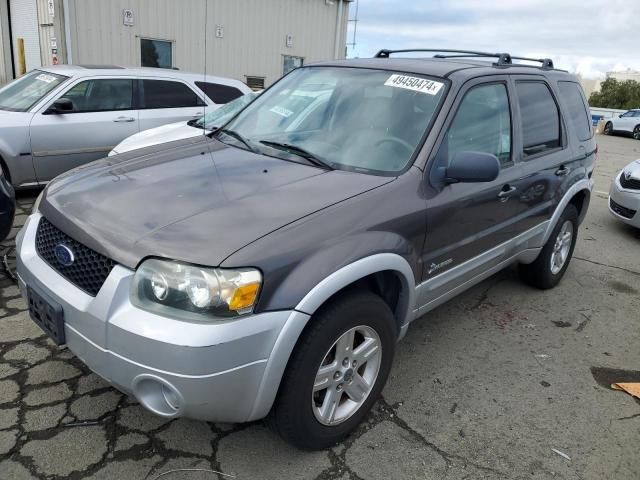 2005 Ford Escape HEV