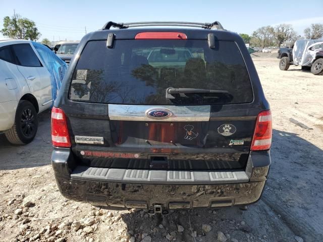 2010 Ford Escape Limited