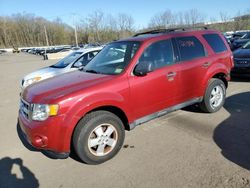 Ford salvage cars for sale: 2010 Ford Escape XLT