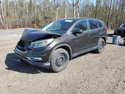 Vehiculos salvage en venta de Copart Bowmanville, ON: 2015 Honda CR-V EX