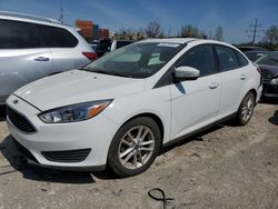 Salvage cars for sale at Columbus, OH auction: 2015 Ford Focus SE