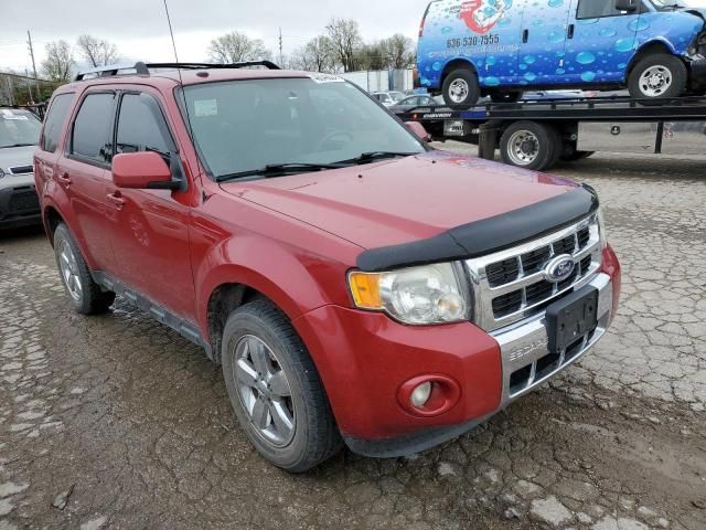 2011 Ford Escape Limited