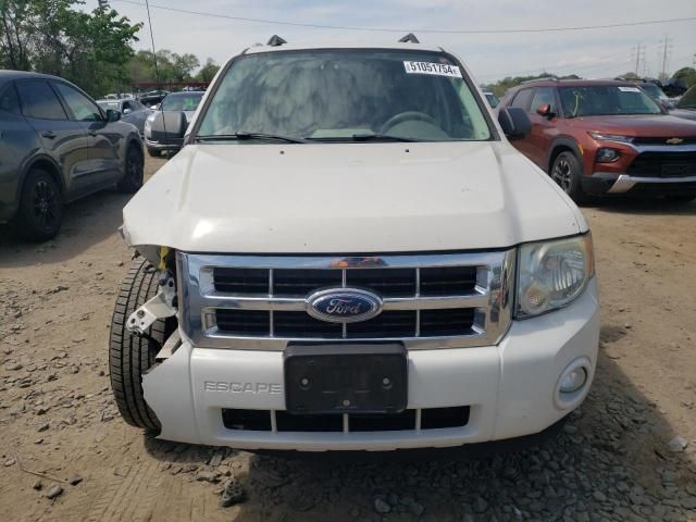 2009 Ford Escape XLT