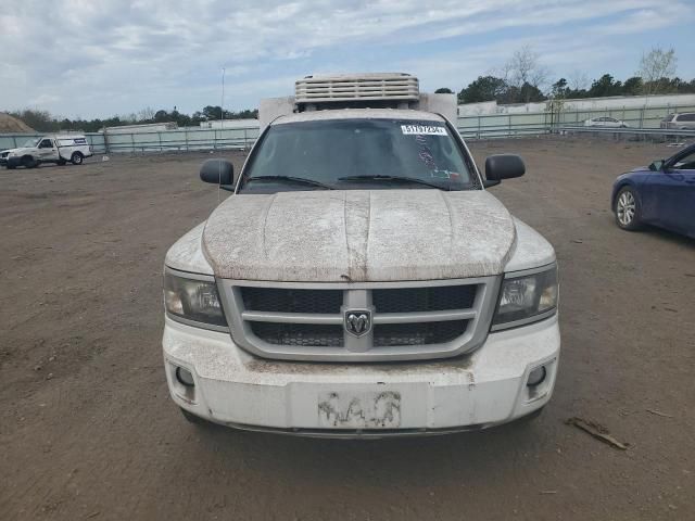 2011 Dodge Dakota SLT