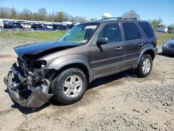 Vehiculos salvage en venta de Copart Hillsborough, NJ: 2006 Ford Escape XLT