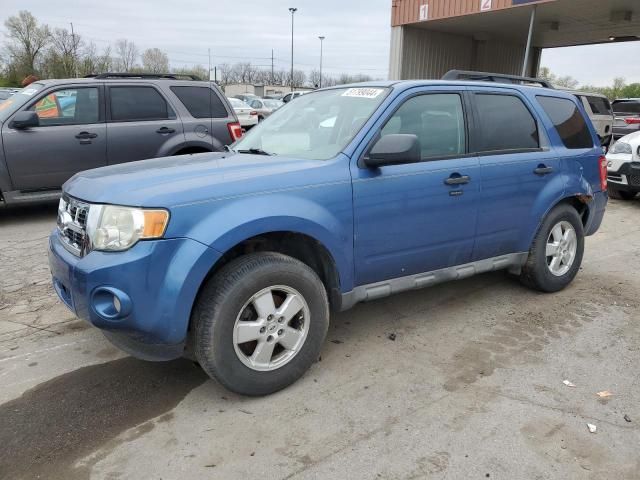 2009 Ford Escape XLT