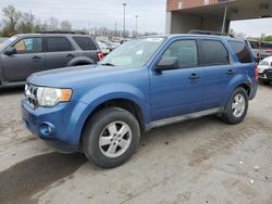 Salvage cars for sale at Fort Wayne, IN auction: 2009 Ford Escape XLT