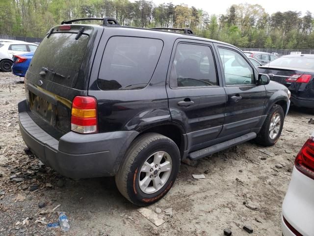 2005 Ford Escape XLT