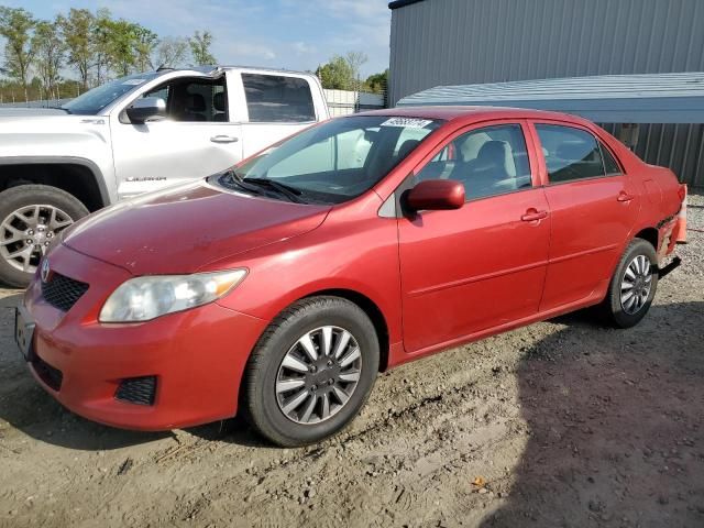 2010 Toyota Corolla Base