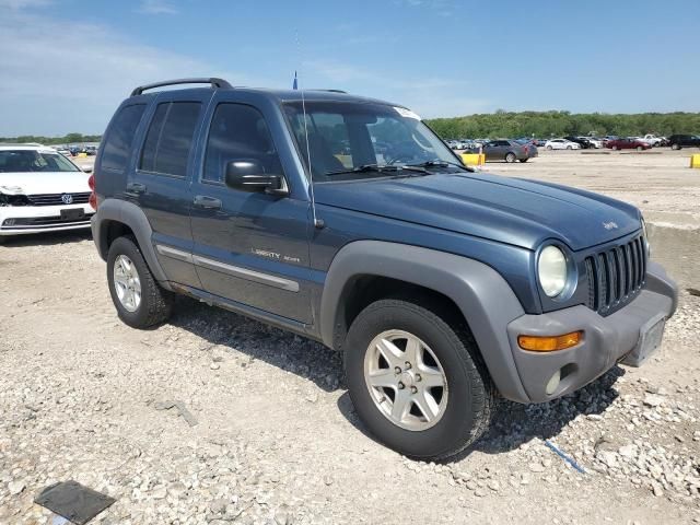 2002 Jeep Liberty Sport