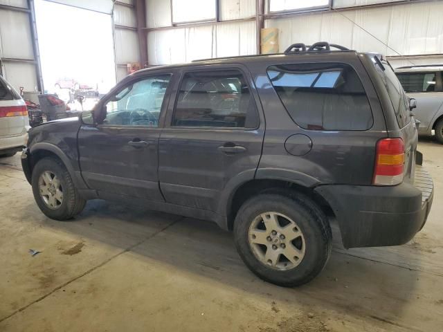 2007 Ford Escape XLT