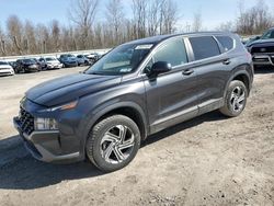 Salvage cars for sale from Copart Leroy, NY: 2022 Hyundai Santa FE SE