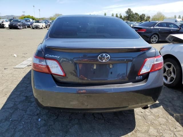 2008 Toyota Camry Hybrid