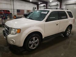 Salvage cars for sale at Avon, MN auction: 2009 Ford Escape Limited