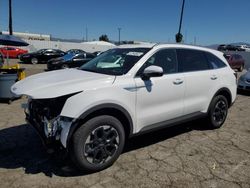 Salvage cars for sale at Van Nuys, CA auction: 2024 KIA Sorento S