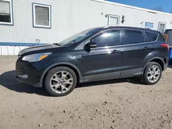 Ford salvage cars for sale: 2014 Ford Escape Titanium