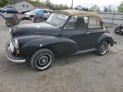 Salvage cars for sale at York Haven, PA auction: 1957 Morr Minor