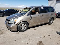 Salvage cars for sale from Copart Albuquerque, NM: 2006 Honda Odyssey EX