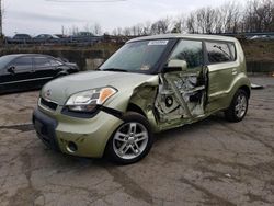 Salvage cars for sale from Copart Marlboro, NY: 2010 KIA Soul +