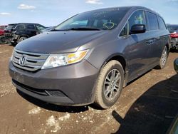 Salvage cars for sale at Elgin, IL auction: 2013 Honda Odyssey EXL