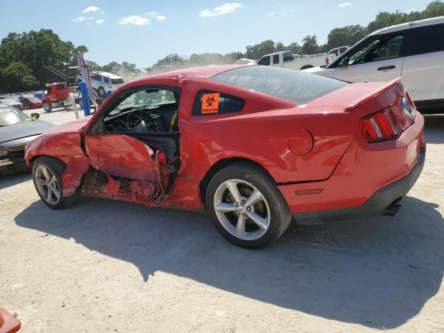 2010 Ford Mustang GT