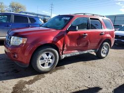 Salvage cars for sale at Albuquerque, NM auction: 2012 Ford Escape XLT