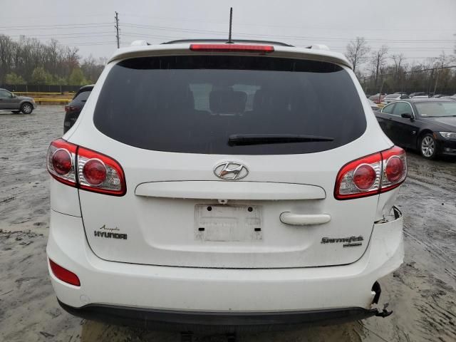 2010 Hyundai Santa FE SE