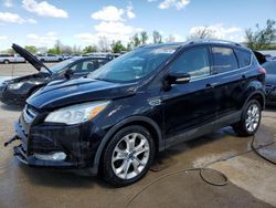 Salvage cars for sale at Bridgeton, MO auction: 2016 Ford Escape Titanium