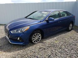 Salvage cars for sale from Copart Riverview, FL: 2019 Hyundai Sonata SE
