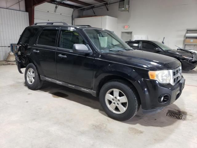 2009 Ford Escape XLT