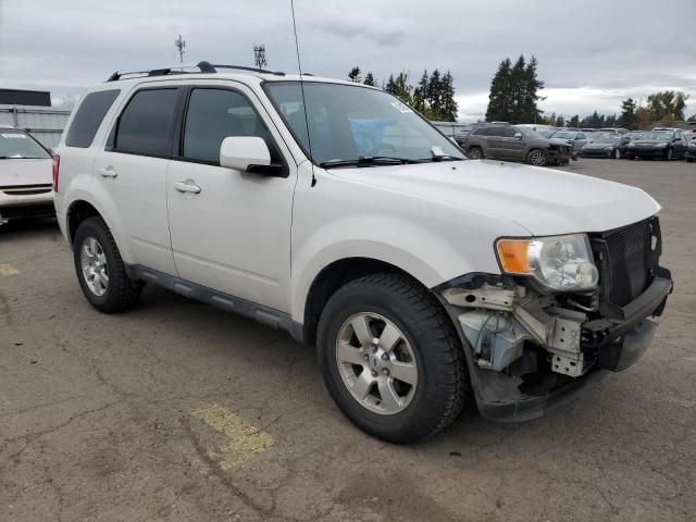 2010 Ford Escape Limited