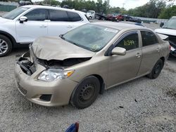 Salvage cars for sale at Riverview, FL auction: 2010 Toyota Corolla Base