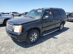 Salvage cars for sale from Copart Antelope, CA: 2003 Cadillac Escalade Luxury