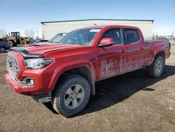 Salvage cars for sale from Copart Rocky View County, AB: 2021 Toyota Tacoma Double Cab