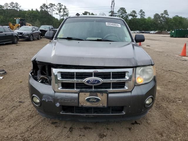 2010 Ford Escape XLT