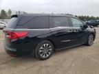 2023 Honda Odyssey EXL