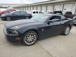 Salvage cars for sale from Copart Louisville, KY: 2013 Ford Mustang
