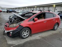 Salvage cars for sale at Louisville, KY auction: 2010 Toyota Prius