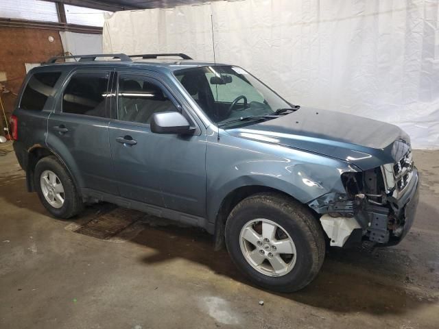 2011 Ford Escape XLT