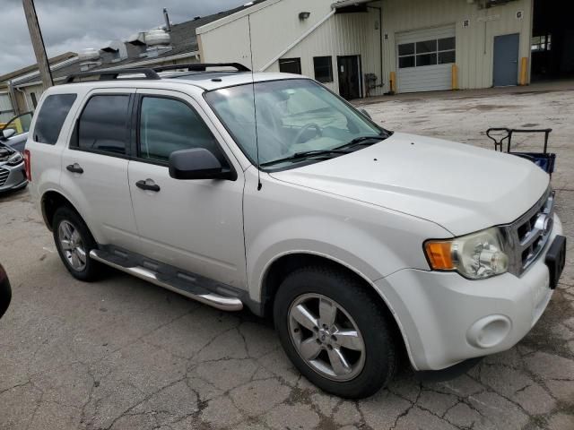 2009 Ford Escape XLT