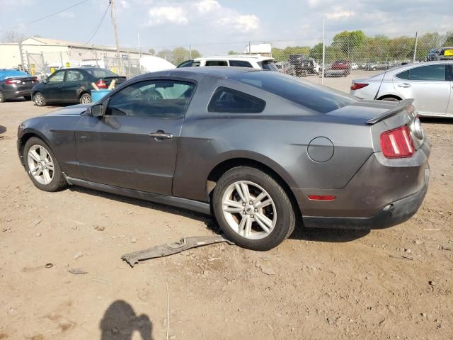 2010 Ford Mustang