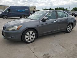 Salvage cars for sale at Wilmer, TX auction: 2008 Honda Accord EXL