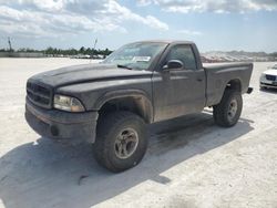 Salvage cars for sale from Copart Arcadia, FL: 1998 Dodge Dakota