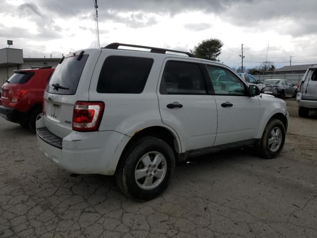 2009 Ford Escape XLT