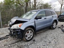 Salvage cars for sale at Cicero, IN auction: 2010 Honda CR-V EX