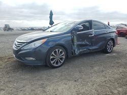 Hyundai Sonata salvage cars for sale: 2014 Hyundai Sonata SE