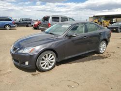 Salvage cars for sale at Brighton, CO auction: 2009 Lexus IS 250
