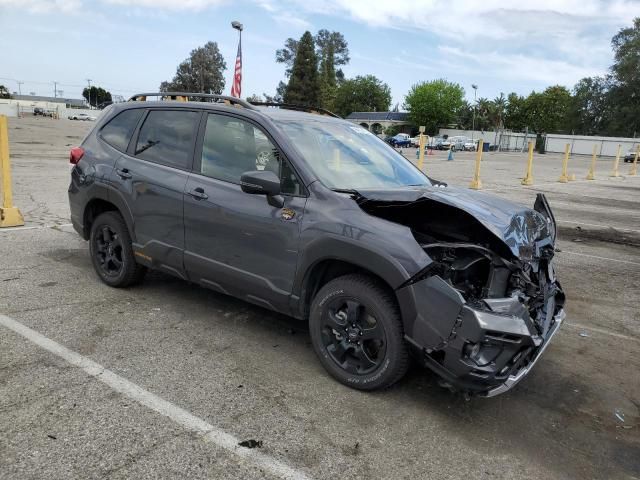 2024 Subaru Forester Wilderness